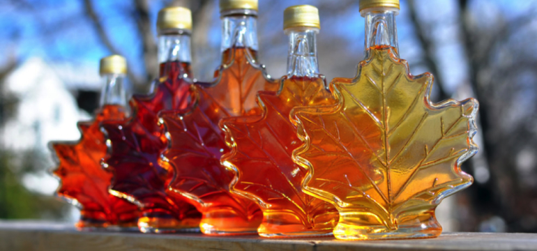 Biomolecular food systems characterization