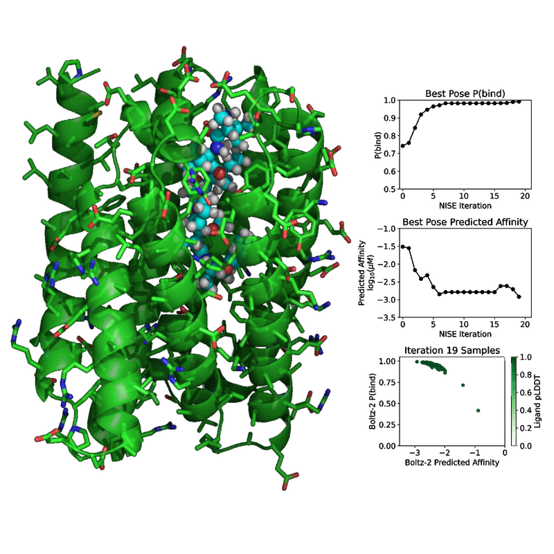 NISE protein design workflow