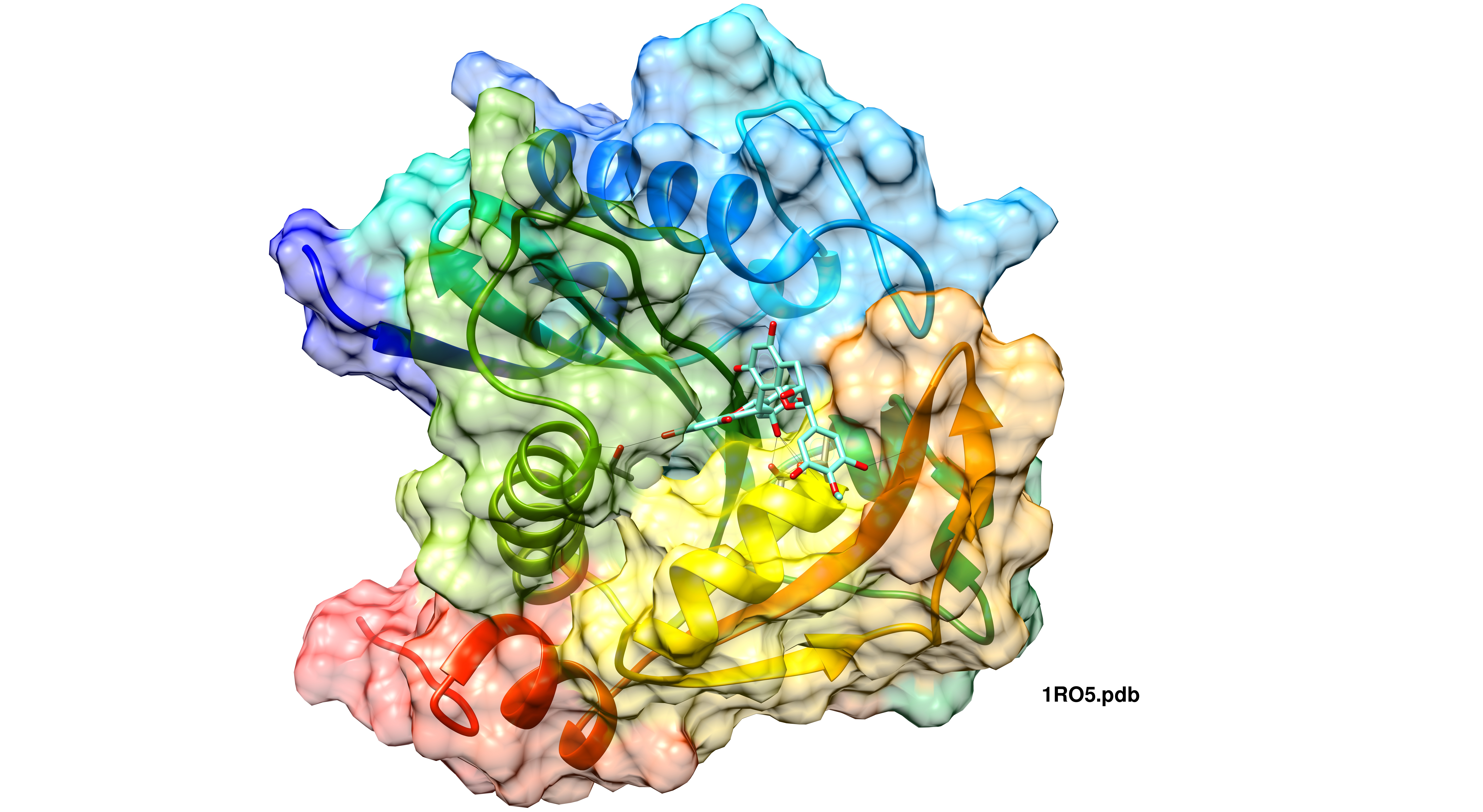 Structural biology enzyme engineering